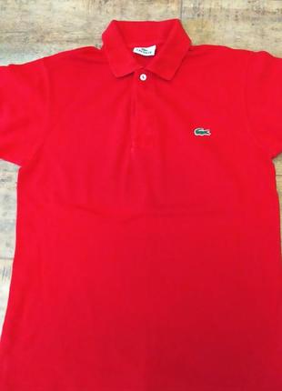 Мужская футболка поло lacoste
