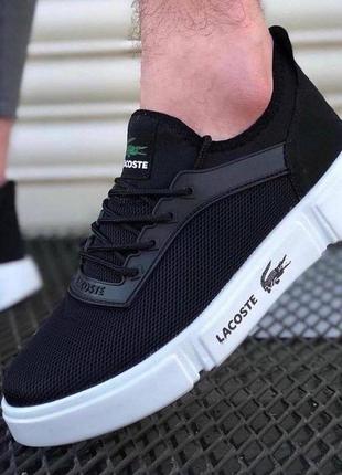 Кроссовки мужские lacoste joggeur