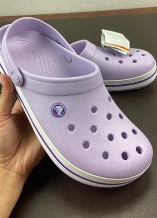 Crocs best sale crocband purple