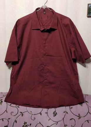 Рубашка шведка тениска хлопковая  (пог 72-73 см) 81