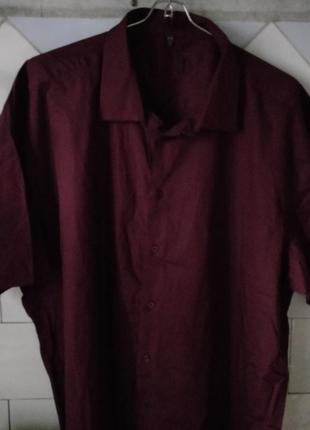 Рубашка шведка тениска хлопковая  (пог 72-73 см) 815 фото
