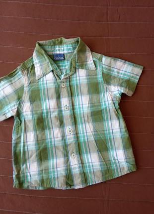 Дитяча літня сорочка в клітку cherokee 86 см короткий рукав на 12-18 міс 1 рік літо бавовна хлопчик