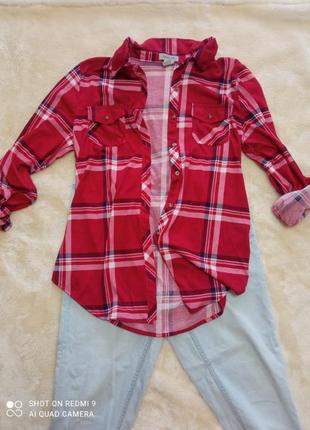 Passport рубашка