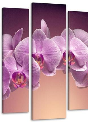 Модульная картина из 5 частей в гостиную спальню орхидея art-106_5 melmil