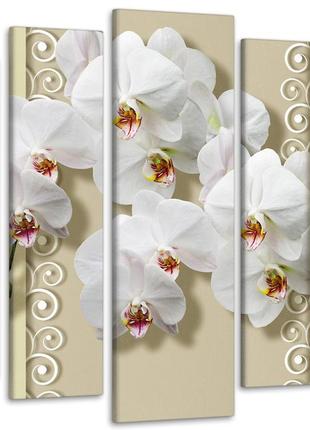 Модульная картина из 5 частей в гостиную спальню абстракция цветы орхидеи art-405_5 ( 80х118см ) melmil