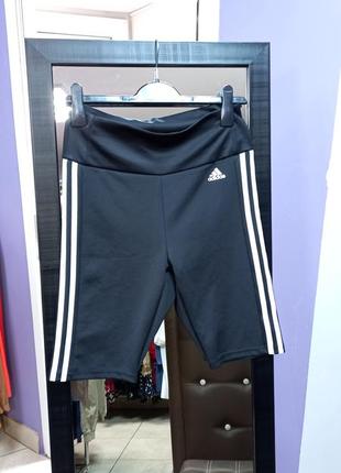 Купить Велосипедки от adidas — недорого в каталоге Шорты на Шафе