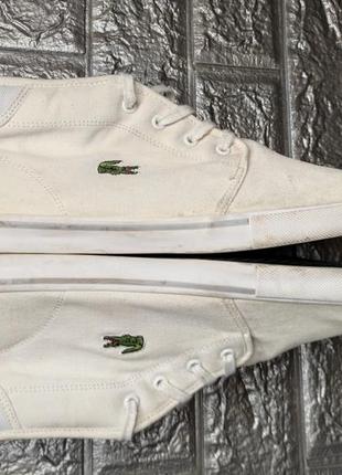 Високі кеди lacoste 7