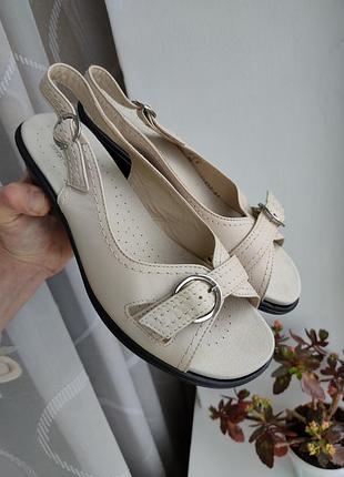 Шкіряні босоніжки hotter 39 комфортні туфлі босоніжки