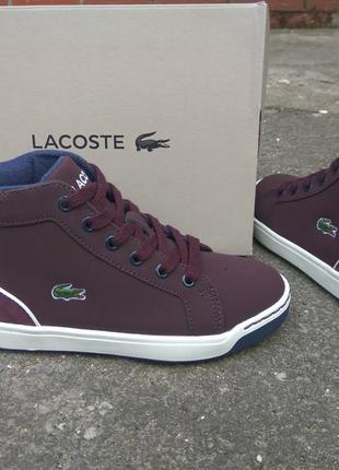 Нові демісезонні кросівки хай-топи lacoste explorateur