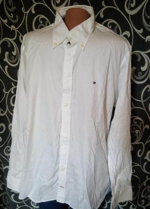 Брендовий бавовняна сорочка білосніжна