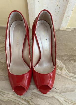 Туфлі altramarea