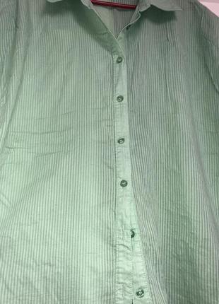 Коттоновые блуза.блуза. пог 625 фото