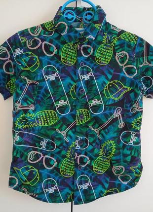 Красивая модная нарядная летняя рубашка с коротким рукавом со скейтами bluezoo для мальчика 4 года2 фото
