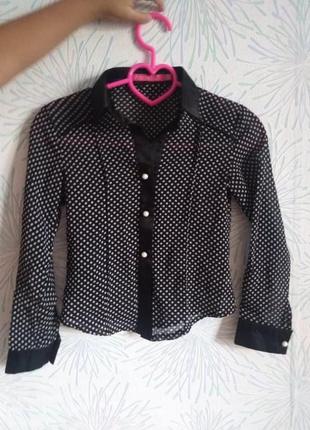 Блузка в горошек