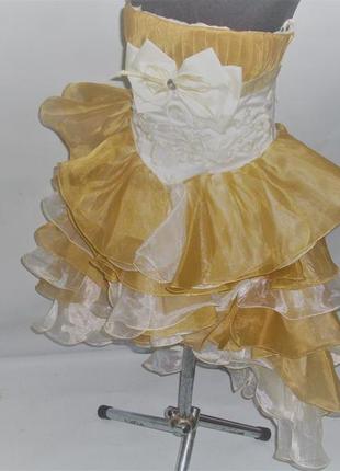 Бальна сукня 9.8