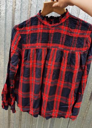 Блуза жіноча