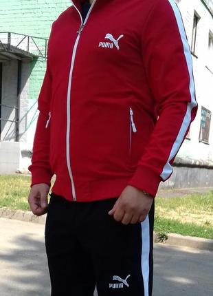Мужской спортивный костюм puma без капюшона1 фото