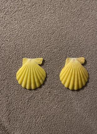 Редкая ракушка морского гребешка