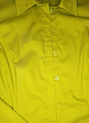 Рубашка, блуза s. oliver, размер м5 фото