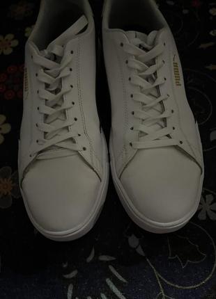Puma basket