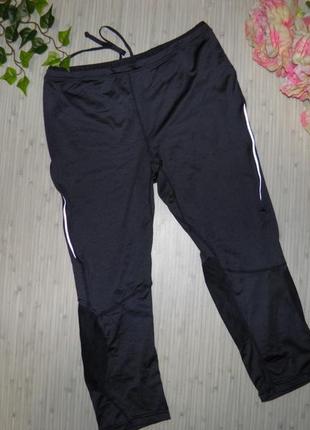 Обнова! штаны лосины леггинсы капри бриджи crane