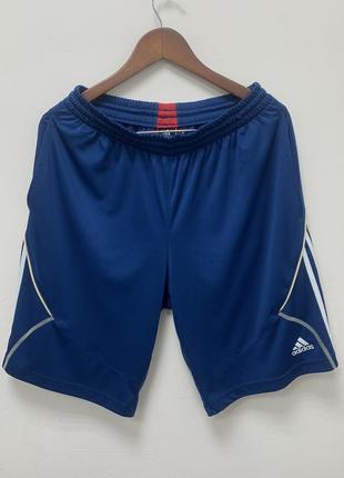 Шотри adidas predator champions league