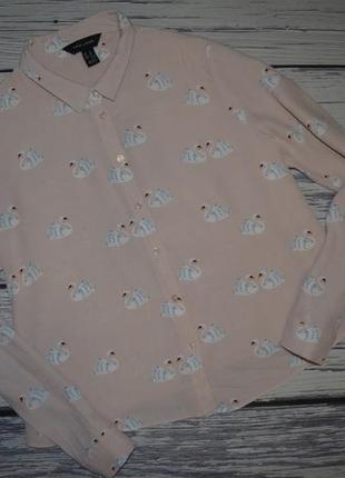 12/м фирменная натуральная женская рубашка блуза блузка лебеди new look2 фото