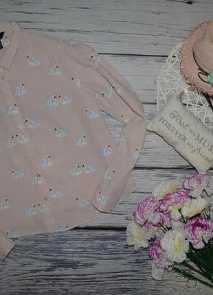 12/м фирменная натуральная женская рубашка блуза блузка лебеди new look