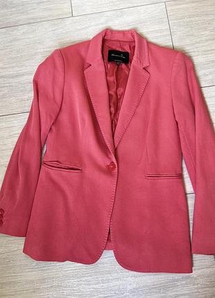Піджак massimo dutti