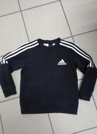 Фирменный свитшот adidas1 фото