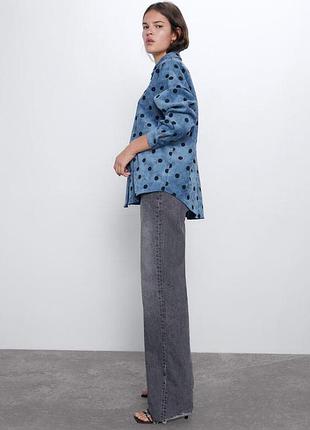 Рубашка принт горох zara 9