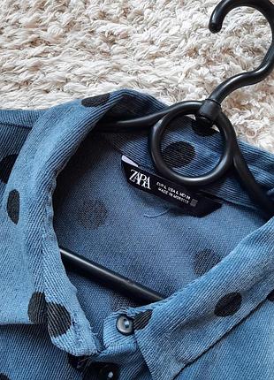 Рубашка принт горох zara 4