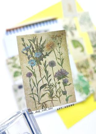 Набір #80 для скрапбукінга, картинки, зображення стікери для щоденників блокнота скетча записника  stickers