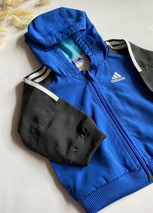 Курточка, вітровочка, кофтинка