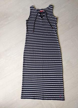 Трикотажна сукня міді плаття по фігурі тельняшка в полоску