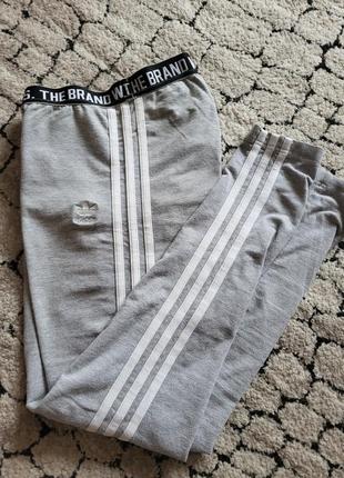 Лосины хлопковые T-Shirt adidas