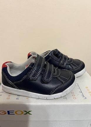 Кросівки clark's шкіряний стан нових