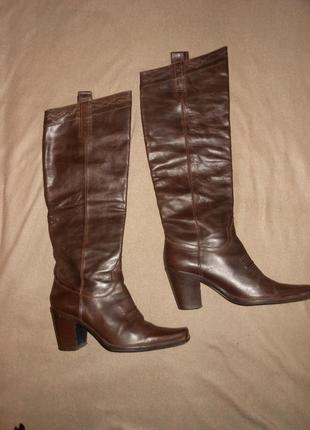 Сапоги казаки!colisee de sacha,paris! сапоги натуральная кожа