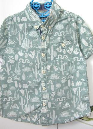 Святкова красива літня сорочка з коротким рукавом з кактусами marks & spencer для хлопчика 4-5 років
