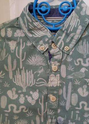 Праздничная летняя рубашка с коротким рукавомс кактусами marks & spencer для мальчика 4-5 лет 1102 фото