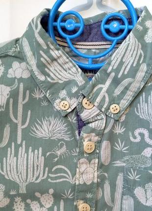 Праздничная летняя рубашка с коротким рукавомс кактусами marks & spencer для мальчика 4-5 лет 1103 фото
