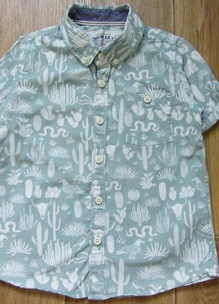 Праздничная летняя рубашка с коротким рукавомс кактусами marks & spencer для мальчика 4-5 лет 1104 фото