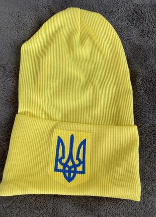 Патріотична шапка для хлопчика