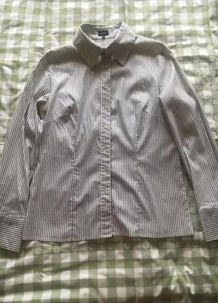 Сорочка німецького бренду cero класична, базова 2