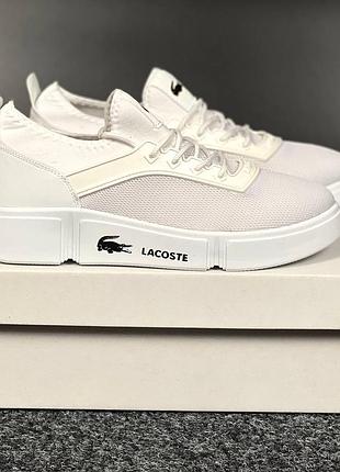 Мужские кеды lacoste white 8
