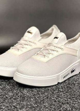 Мужские кеды lacoste white 10