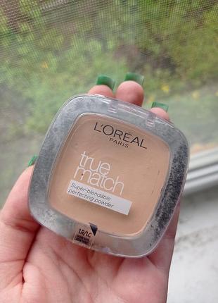 Пудра l'oréal paris true match 1.r/1.c rose ivory1 фото