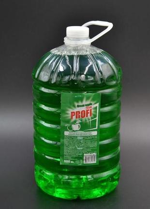 Средство для мытья стекла "profi" / зеленое яблоко / 5л