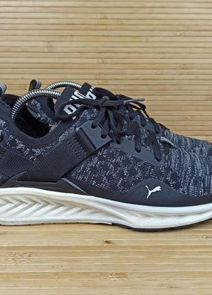 Puma ignite evoknit clearance 900