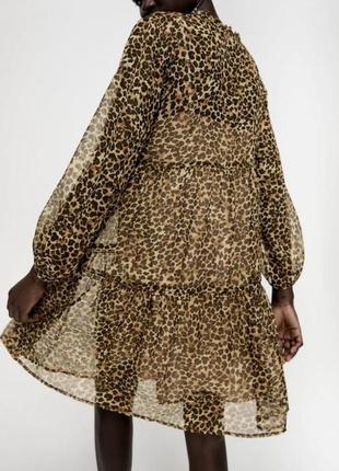 Шикарне шифонове шовкове плаття zara з бантом леопардовий принт2 фото